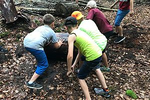 Südtour Trekking Steigerwald