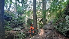 Teufelsloch Forstwirt Bayerische Staatsforsten Forstbetrieb Nordhalben Wald