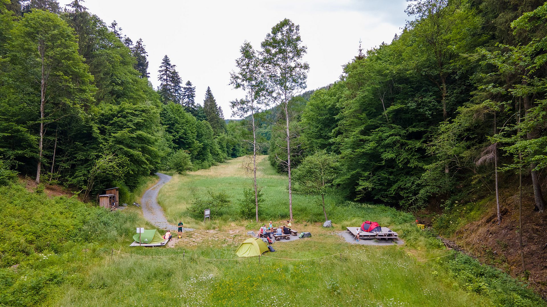 Zeltplatz im Wald