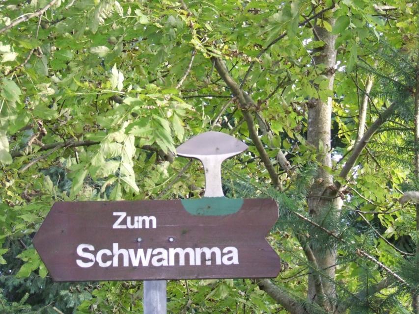 Frankenwald Schwamma