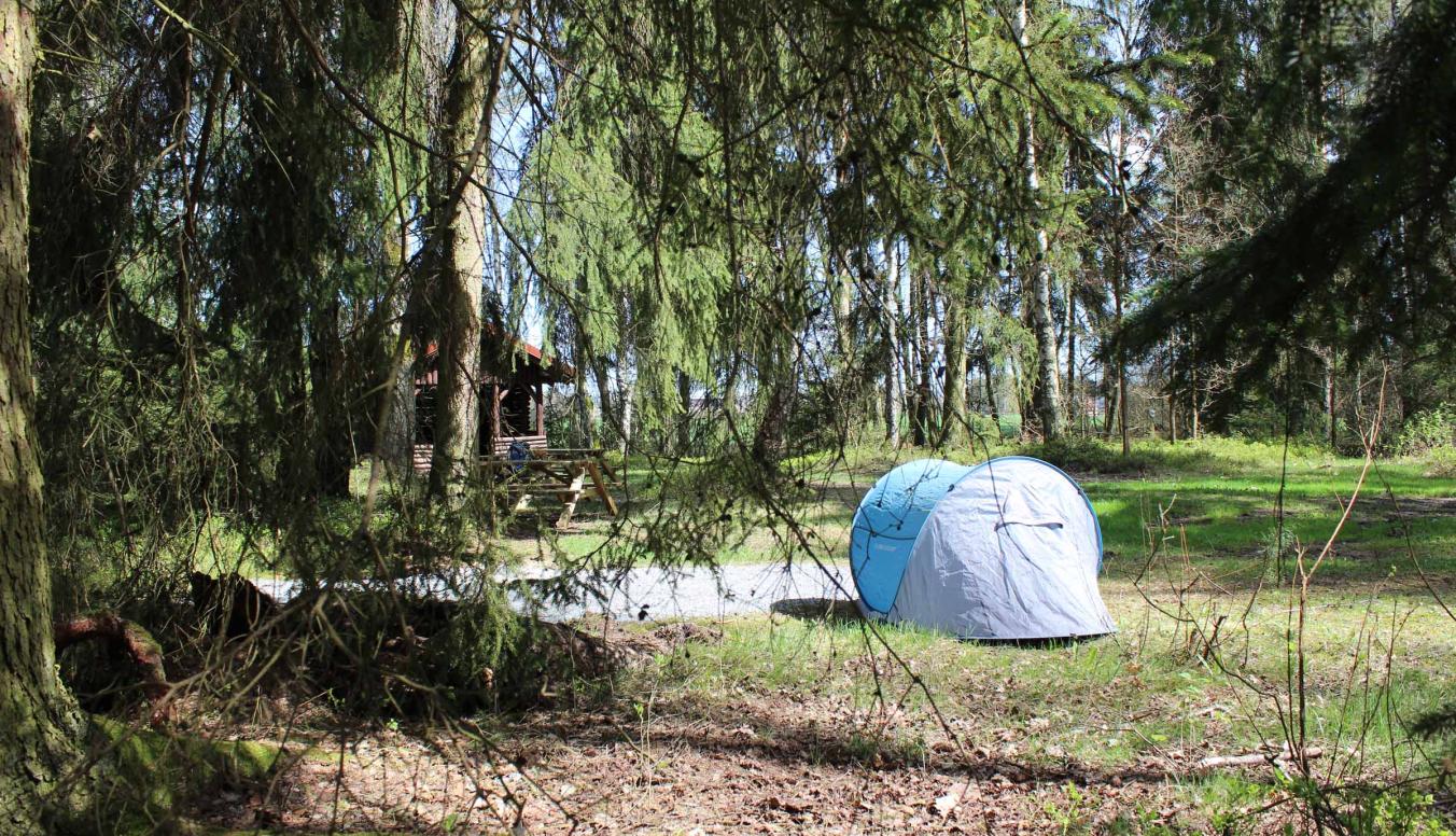 Zelt in Natur
