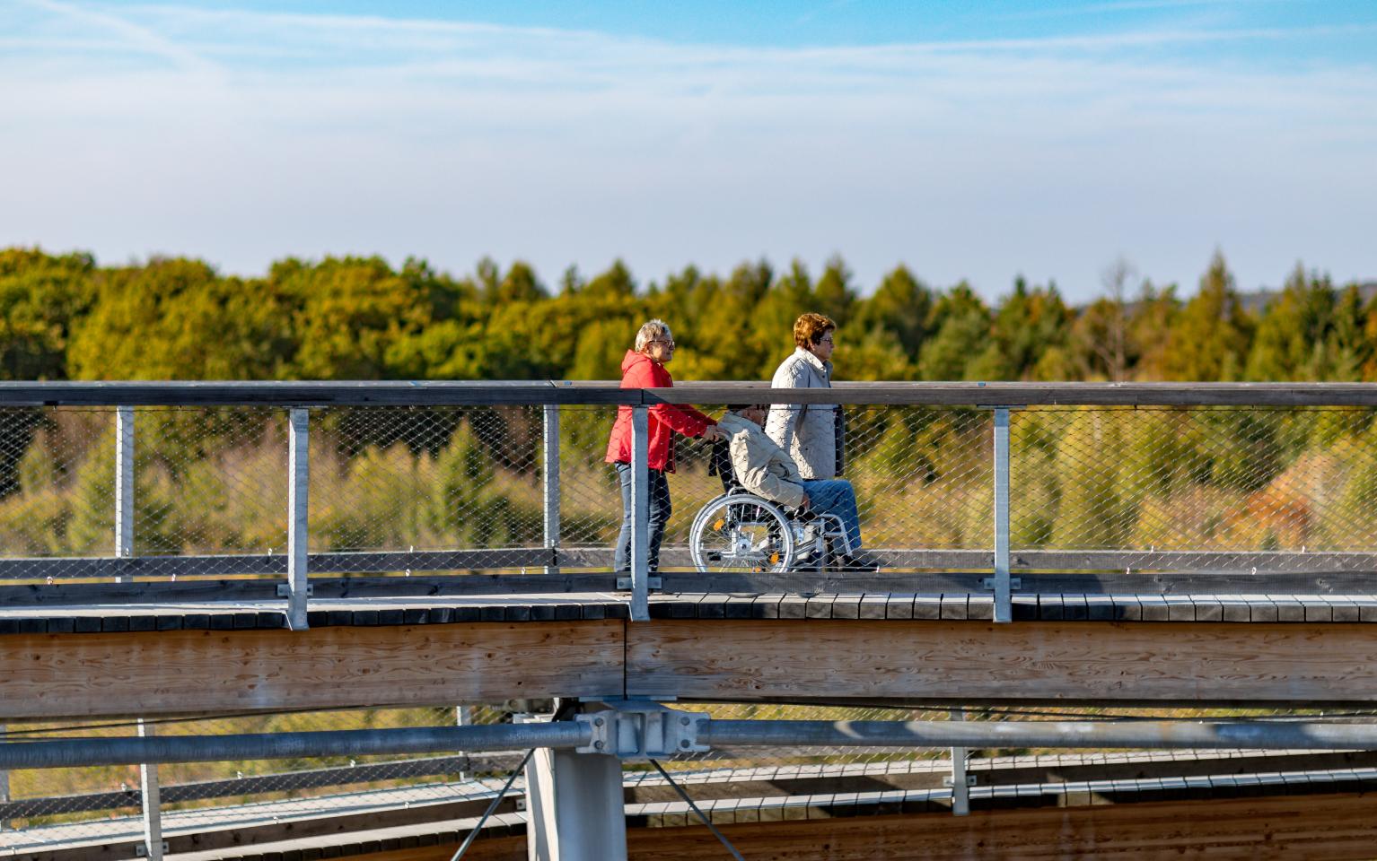 Baumwipfelpfad Besucher