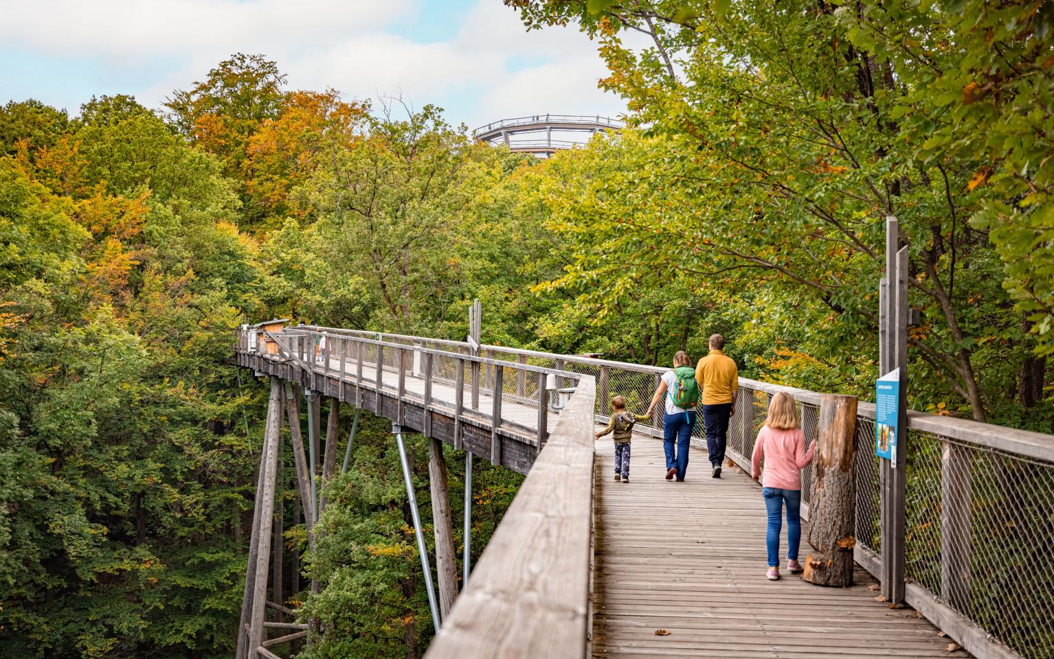 BesucherInnen auf dem Holzpfad am Baumwipfelpfad