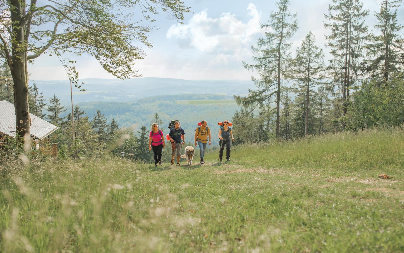 Panorama im Frankenwald