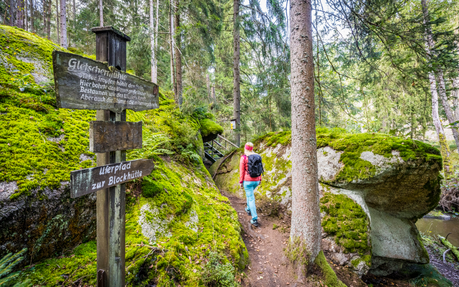 Wanderweg im Oberpfälzer Wald