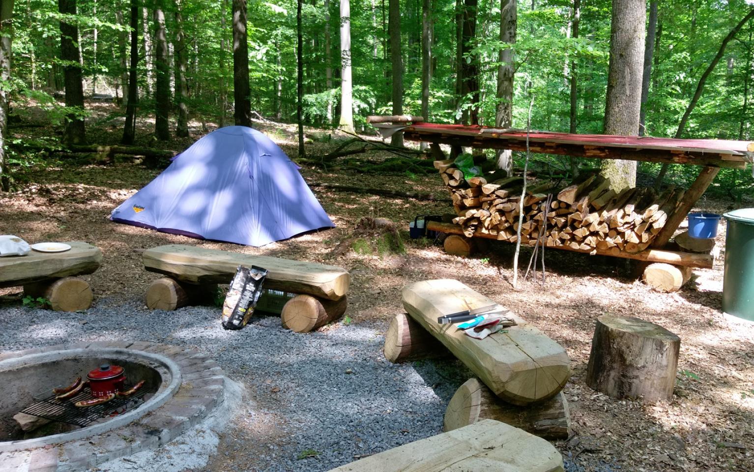 Zeltplatz im Wald